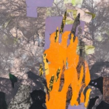 Disasters: forest fire, print collage, 12" x 18", 2014